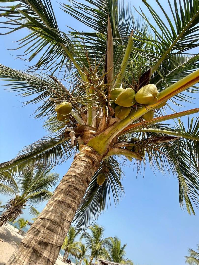 Santana Beachclub Sanyang 外观 照片